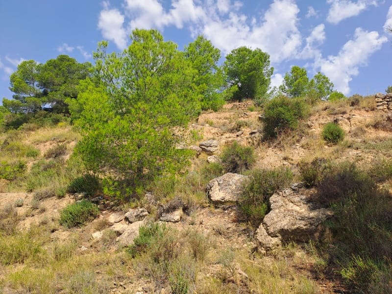 Finca/Country House for sale in Gandesa - € 9,000 (Ref: 9417809)