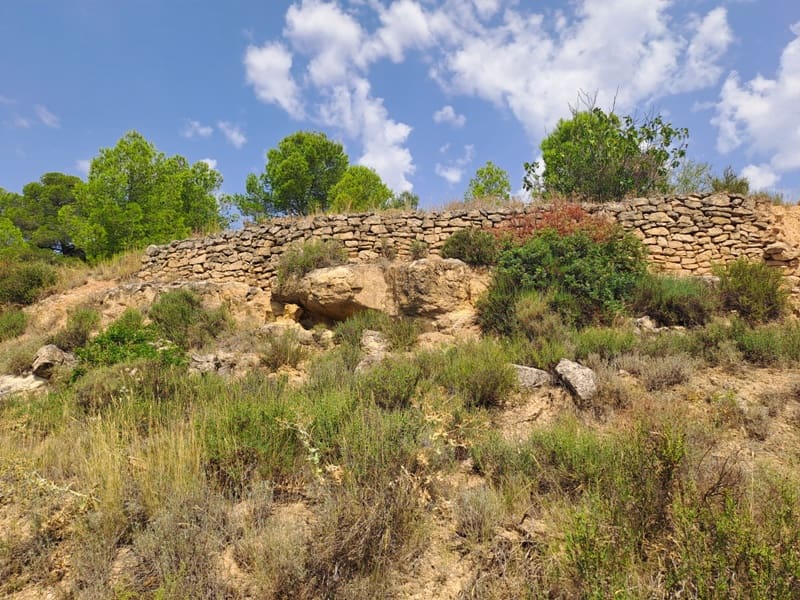 Finca/Country House for sale in Gandesa - € 9,000 (Ref: 9417809)