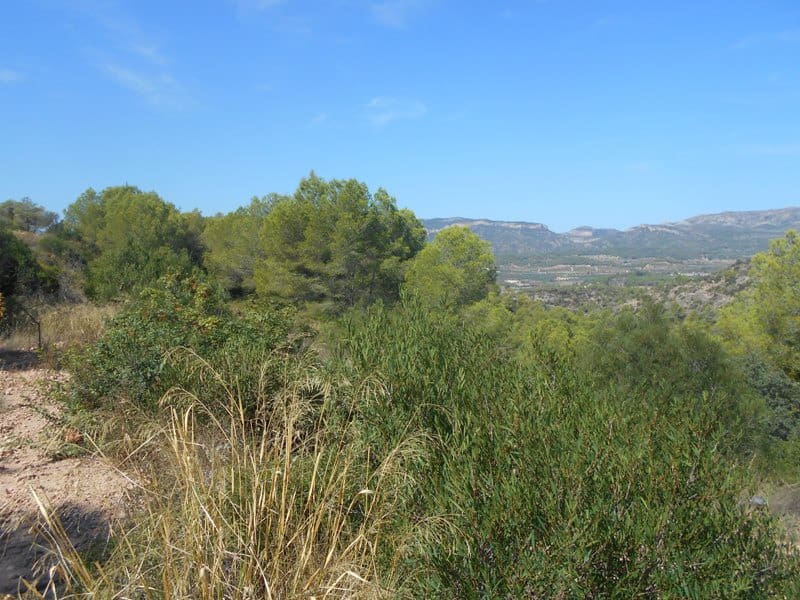 Finca/Landhuis te koop in El Pinell de Brai - € 19.500 (Ref: 9953438)