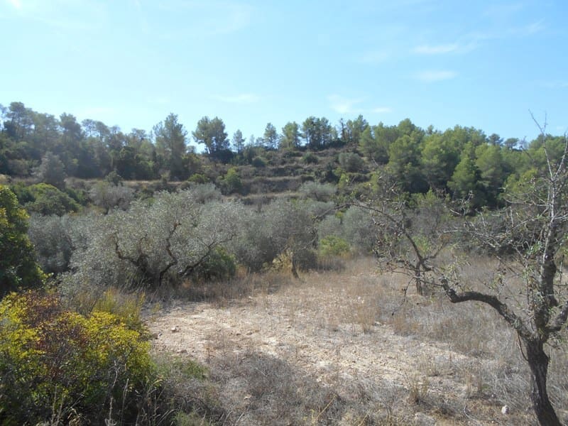 Finca/Landhuis te koop in El Pinell de Brai - € 19.500 (Ref: 9953438)