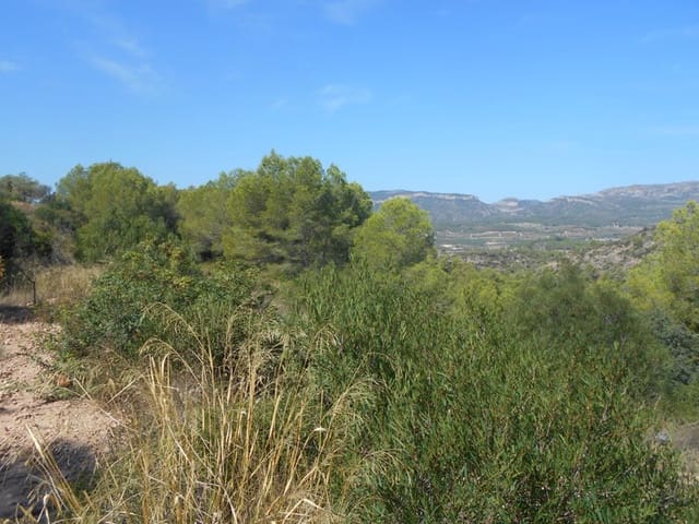 Finca/Landhuis te koop in El Pinell de Brai - € 19.500 (Ref: 9953438)