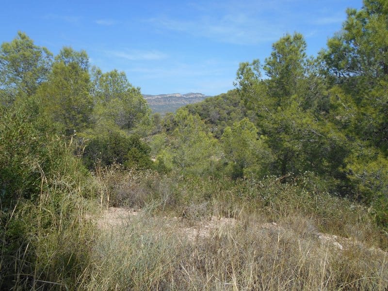 Finca/Landhuis te koop in El Pinell de Brai - € 19.500 (Ref: 9953438)