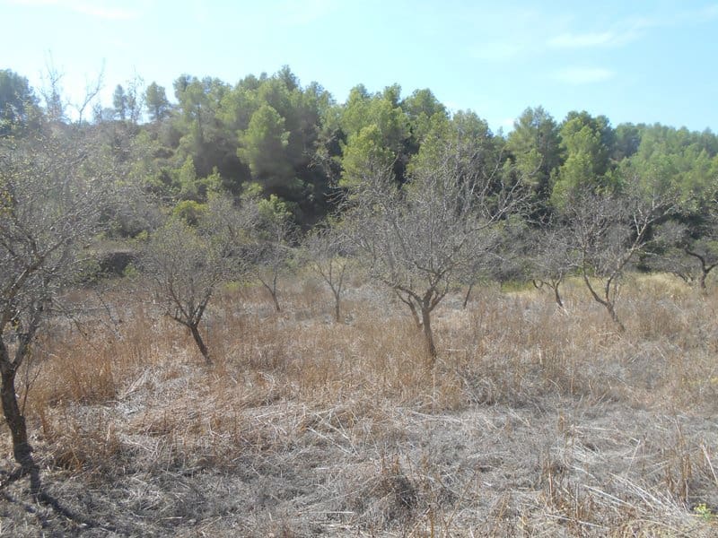 Finca/Landhuis te koop in El Pinell de Brai - € 19.500 (Ref: 9953438)