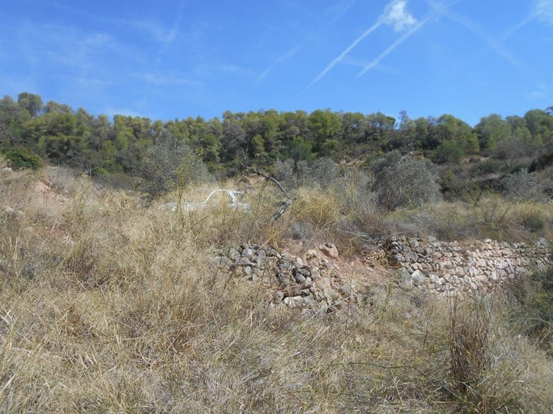Finca/Landhuis te koop in El Pinell de Brai - € 19.500 (Ref: 9953438)