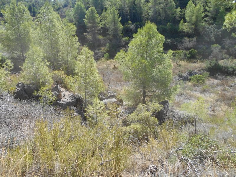 Finca/Landhuis te koop in El Pinell de Brai - € 19.500 (Ref: 9953438)