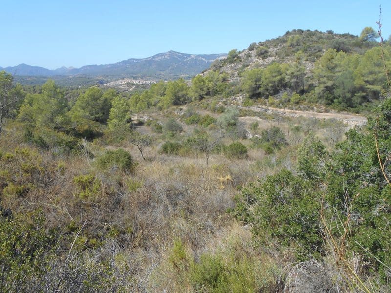 Finca/Landhuis te koop in El Pinell de Brai - € 19.500 (Ref: 9953438)