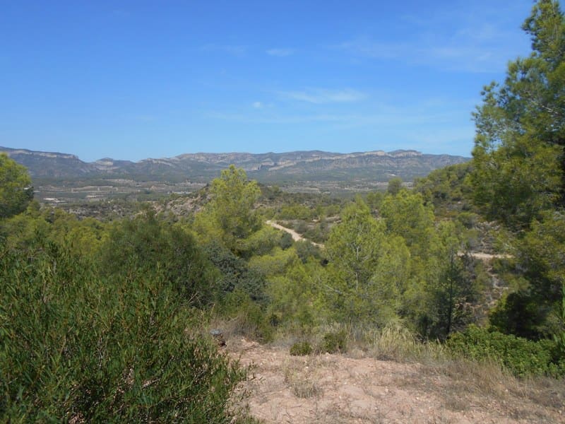 Finca/Landhuis te koop in El Pinell de Brai - € 19.500 (Ref: 9953438)