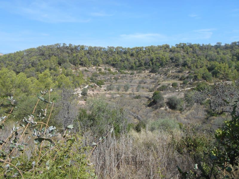 Finca/Landhuis te koop in El Pinell de Brai - € 19.500 (Ref: 9953438)