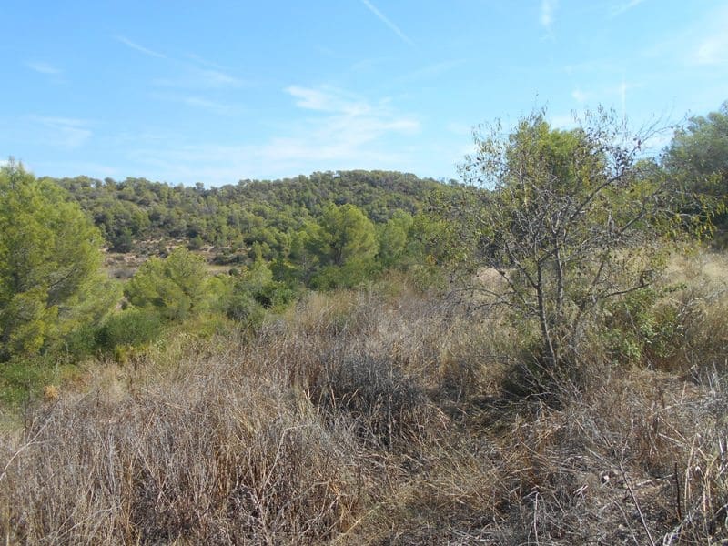 Finca/Landhuis te koop in El Pinell de Brai - € 19.500 (Ref: 9953438)