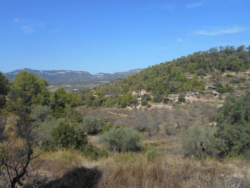 Finca/Landhuis te koop in El Pinell de Brai - € 19.500 (Ref: 9953438)