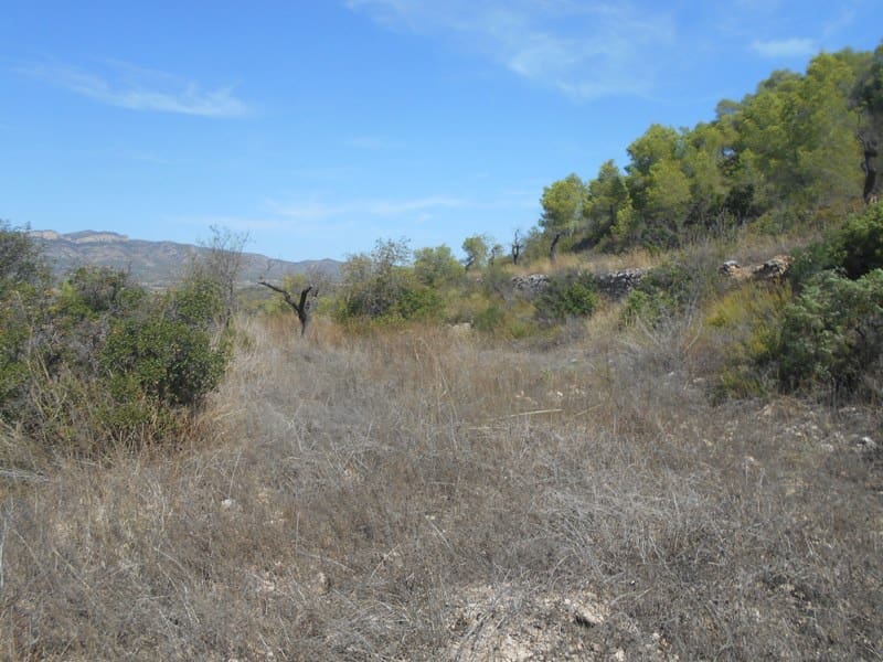 Finca/Landhuis te koop in El Pinell de Brai - € 19.500 (Ref: 9953438)