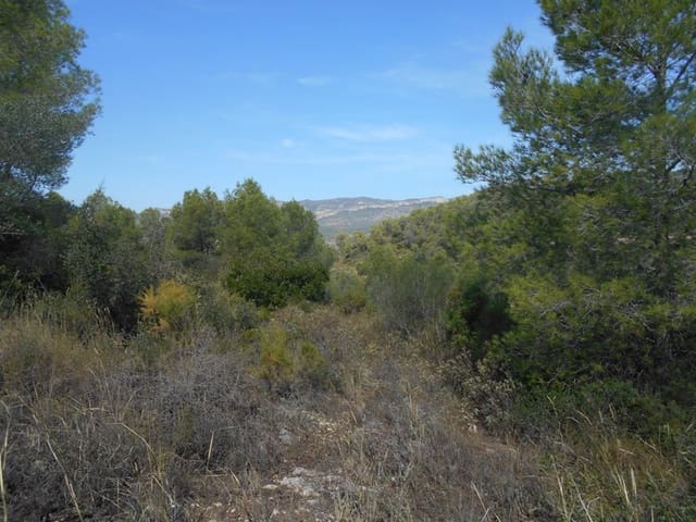 Finca/Landhuis te koop in El Pinell de Brai - € 19.500 (Ref: 9953438)