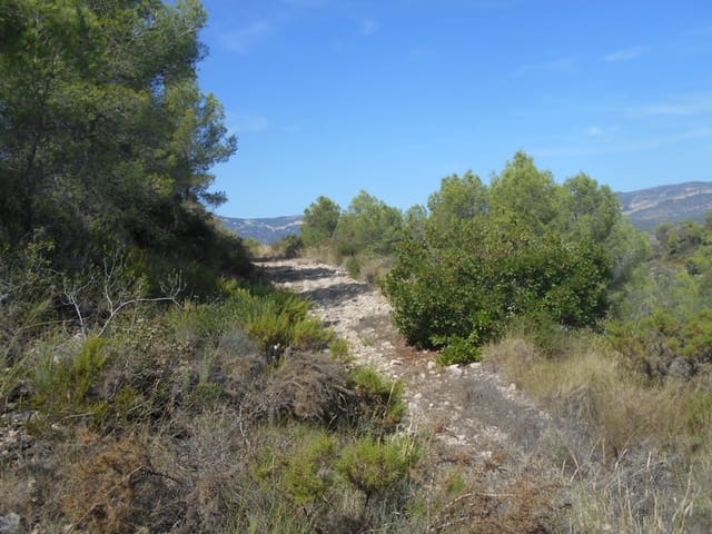 Finca/Landhuis te koop in El Pinell de Brai - € 19.500 (Ref: 9953438)