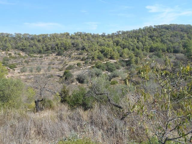 Finca/Landhuis te koop in El Pinell de Brai - € 19.500 (Ref: 9953438)