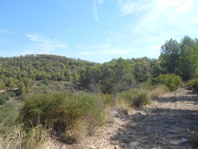 Finca/Landhuis te koop in El Pinell de Brai - € 19.500 (Ref: 9953438)