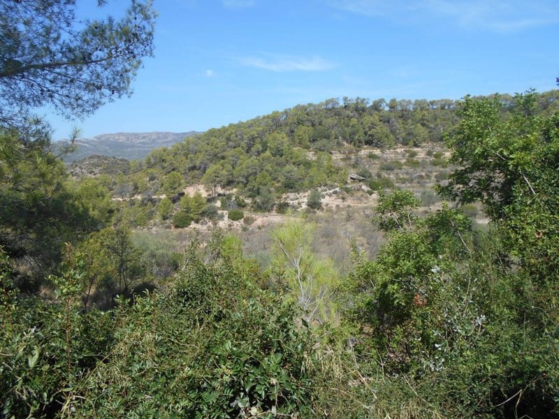 Finca/Landhuis te koop in El Pinell de Brai - € 19.500 (Ref: 9953438)