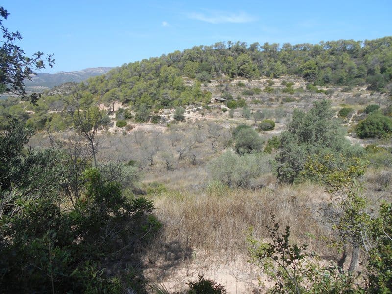 Finca/Landhuis te koop in El Pinell de Brai - € 19.500 (Ref: 9953438)