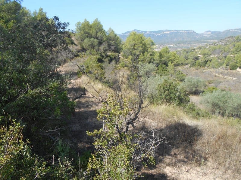 Finca/Landhuis te koop in El Pinell de Brai - € 19.500 (Ref: 9953438)