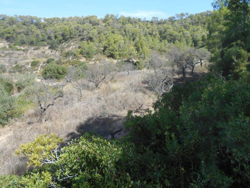 Finca/Landhuis te koop in El Pinell de Brai - € 19.500 (Ref: 9953438)