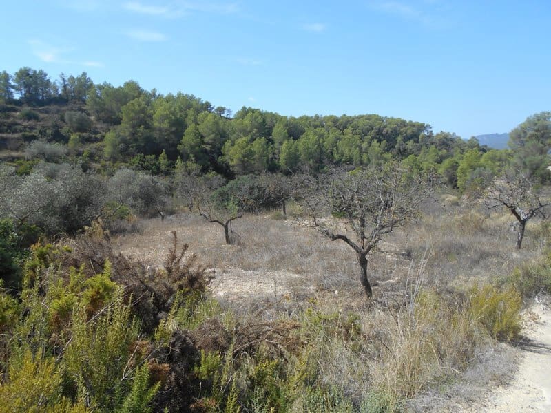 Finca/Landhuis te koop in El Pinell de Brai - € 19.500 (Ref: 9953438)
