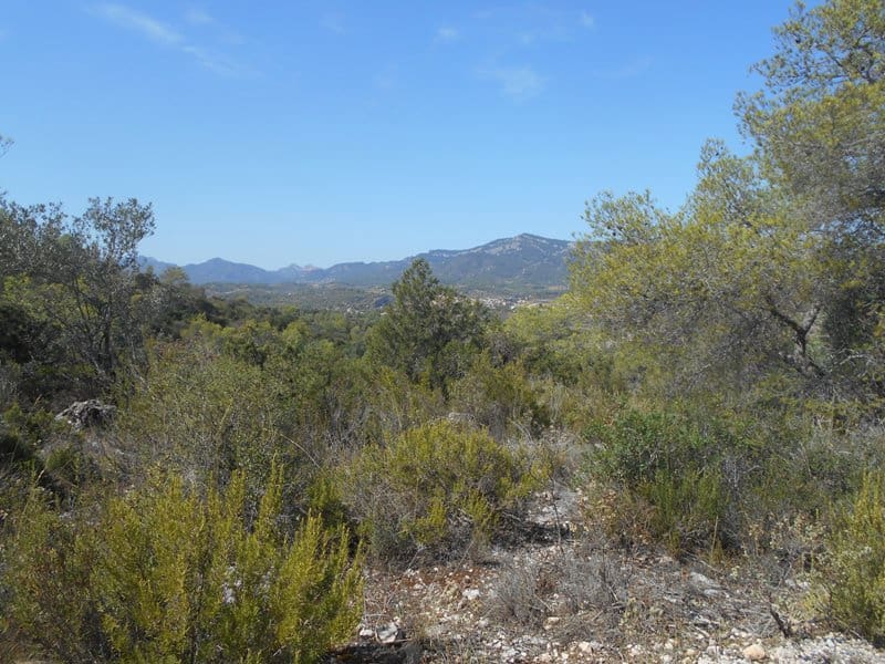 Finca/Landhuis te koop in El Pinell de Brai - € 19.500 (Ref: 9953438)