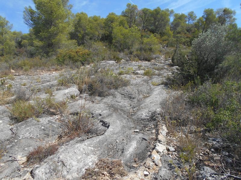 Finca/Landhuis te koop in El Pinell de Brai - € 19.500 (Ref: 9953438)