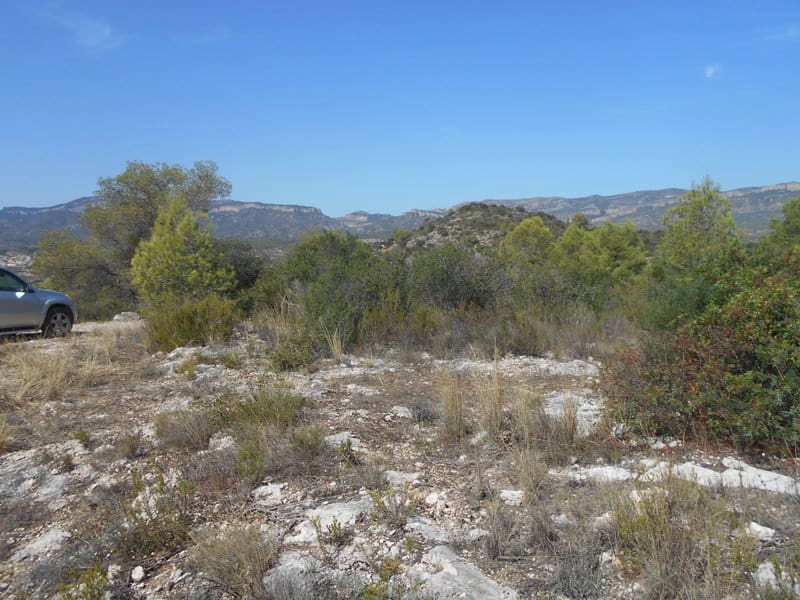 Finca/Landhuis te koop in El Pinell de Brai - € 19.500 (Ref: 9953438)