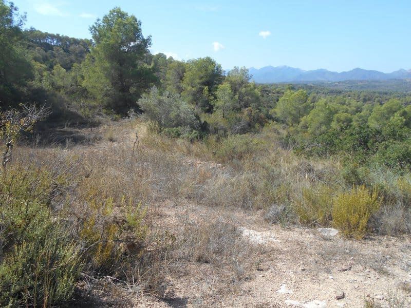 Finca/Landhuis te koop in El Pinell de Brai - € 19.500 (Ref: 9953438)