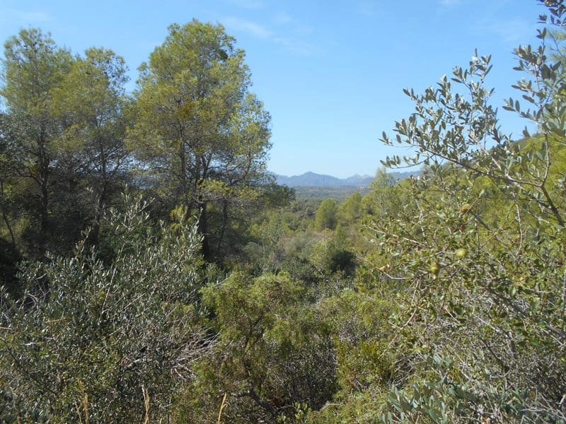 Finca/Landhuis te koop in El Pinell de Brai - € 19.500 (Ref: 9953438)