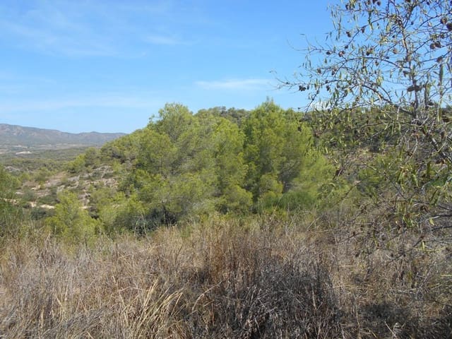 Finca/Landhuis te koop in El Pinell de Brai - € 19.500 (Ref: 9953438)