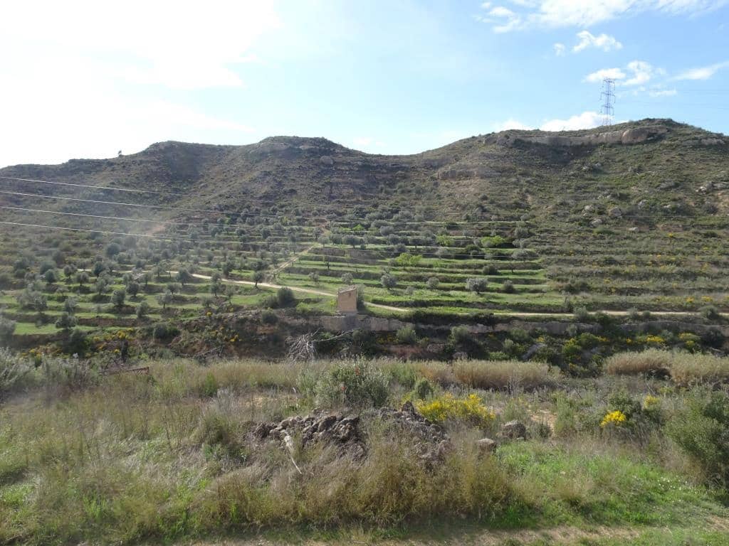 Finca/Herregård til salgs i Vinebre - € 15 000 (Ref: 9953439)