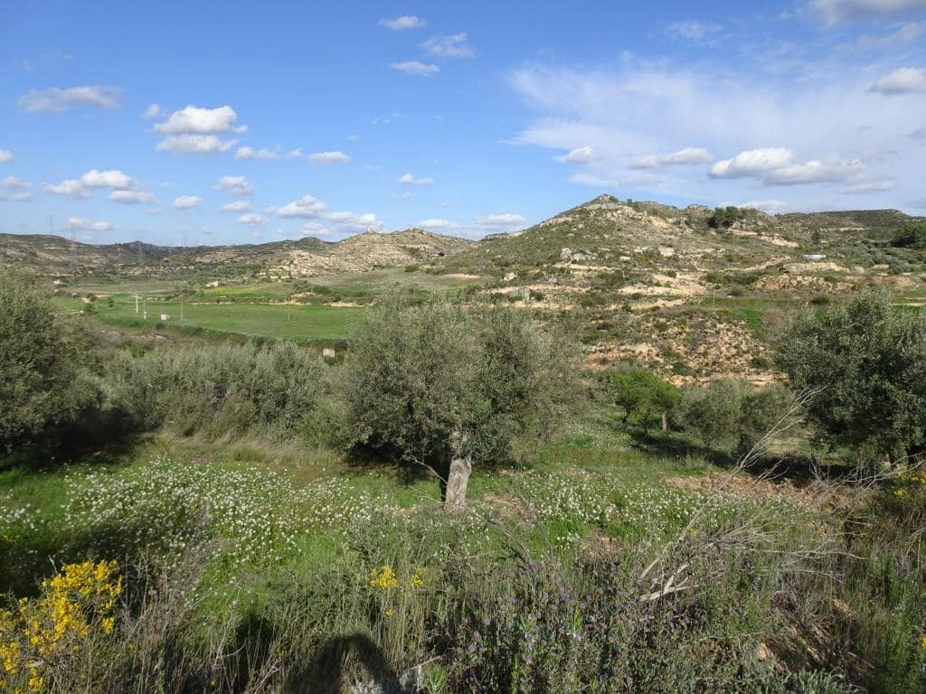 Finca/Herregård til salgs i Vinebre - € 15 000 (Ref: 9953439)