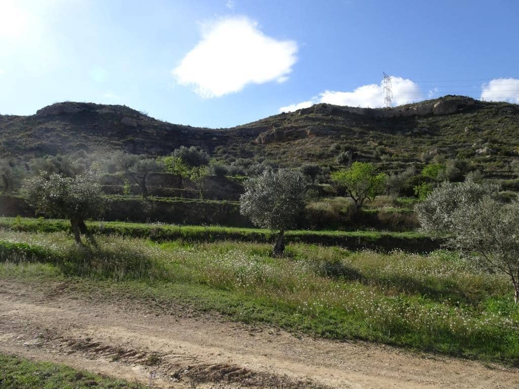 Finca/Herregård til salgs i Vinebre - € 15 000 (Ref: 9953439)