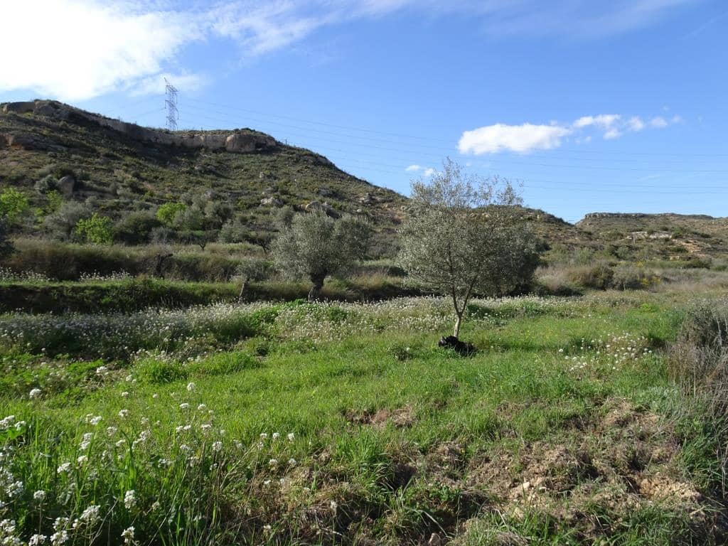 Finca/Herregård til salgs i Vinebre - € 15 000 (Ref: 9953439)