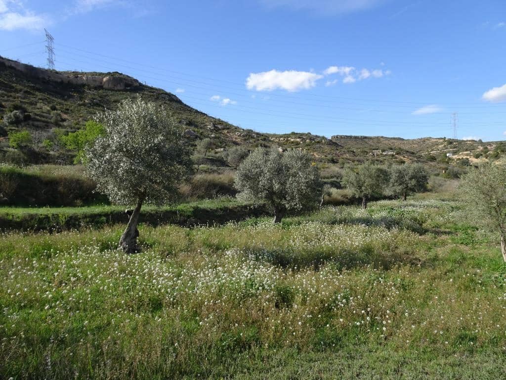 Finca/Herregård til salgs i Vinebre - € 15 000 (Ref: 9953439)