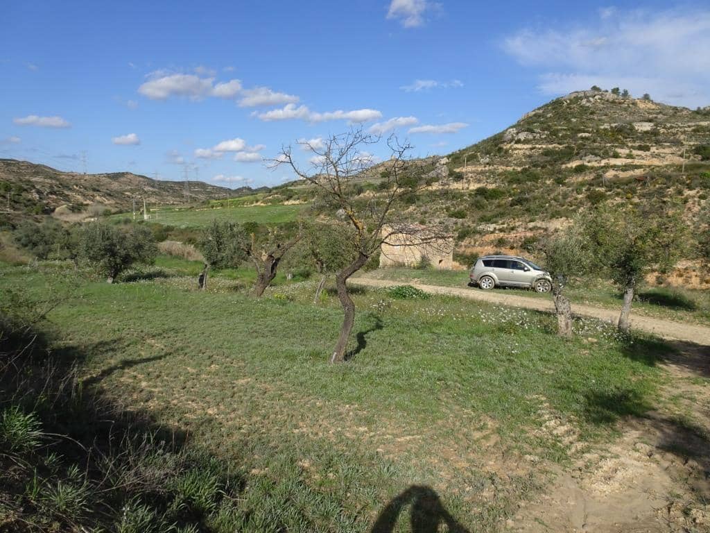 Finca/Herregård til salgs i Vinebre - € 15 000 (Ref: 9953439)