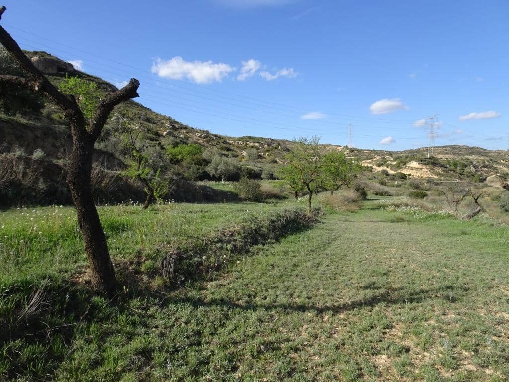 Finca/Herregård til salgs i Vinebre - € 15 000 (Ref: 9953439)