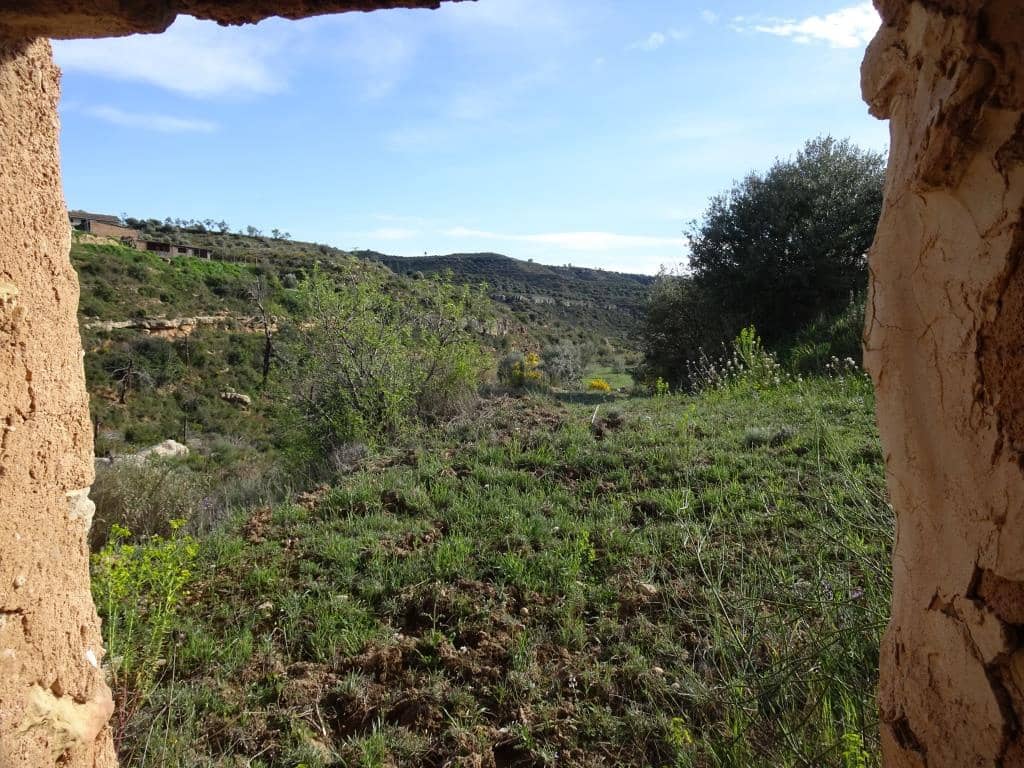 Finca/Herregård til salgs i Vinebre - € 15 000 (Ref: 9953439)