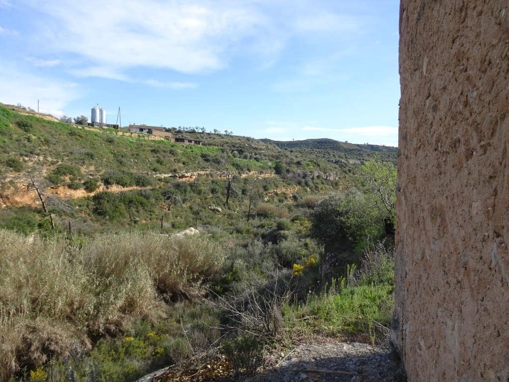 Finca/Herregård til salgs i Vinebre - € 15 000 (Ref: 9953439)