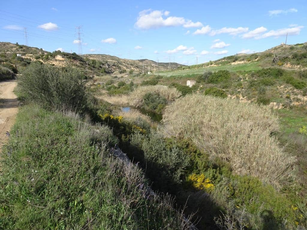 Finca/Herregård til salgs i Vinebre - € 15 000 (Ref: 9953439)