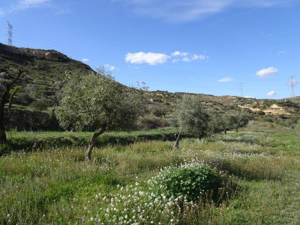 Finca/Herregård til salgs i Vinebre - € 15 000 (Ref: 9953439)
