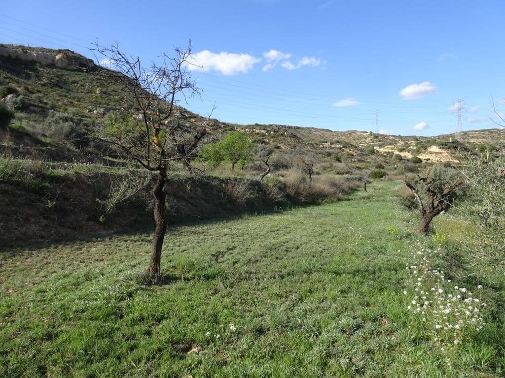 Finca/Herregård til salgs i Vinebre - € 15 000 (Ref: 9953439)