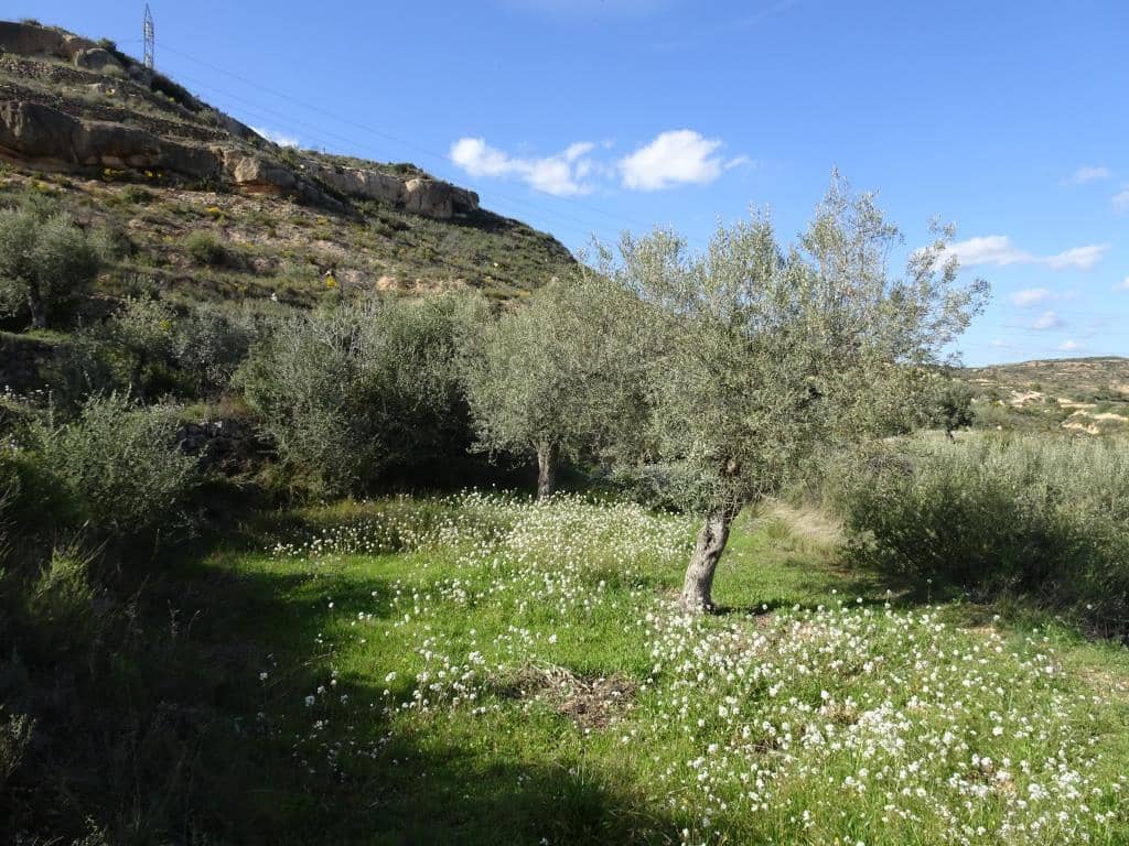 Finca/Herregård til salgs i Vinebre - € 15 000 (Ref: 9953439)