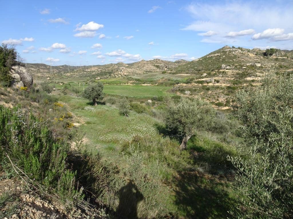 Finca/Herregård til salgs i Vinebre - € 15 000 (Ref: 9953439)