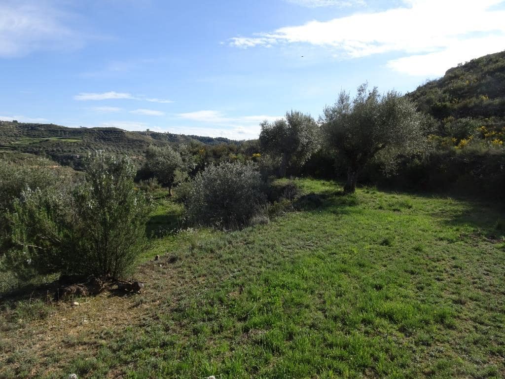 Finca/Herregård til salgs i Vinebre - € 15 000 (Ref: 9953439)