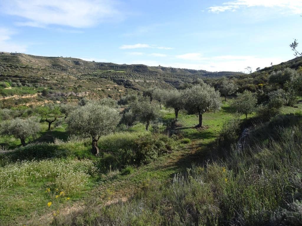 Finca/Herregård til salgs i Vinebre - € 15 000 (Ref: 9953439)