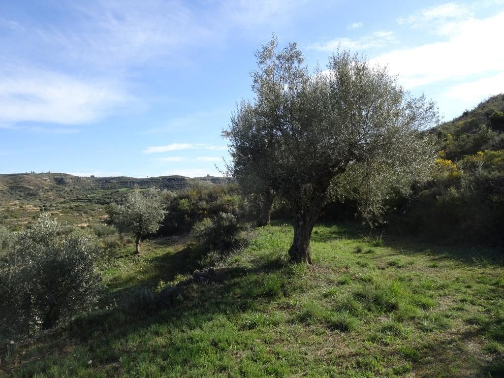 Finca/Herregård til salgs i Vinebre - € 15 000 (Ref: 9953439)