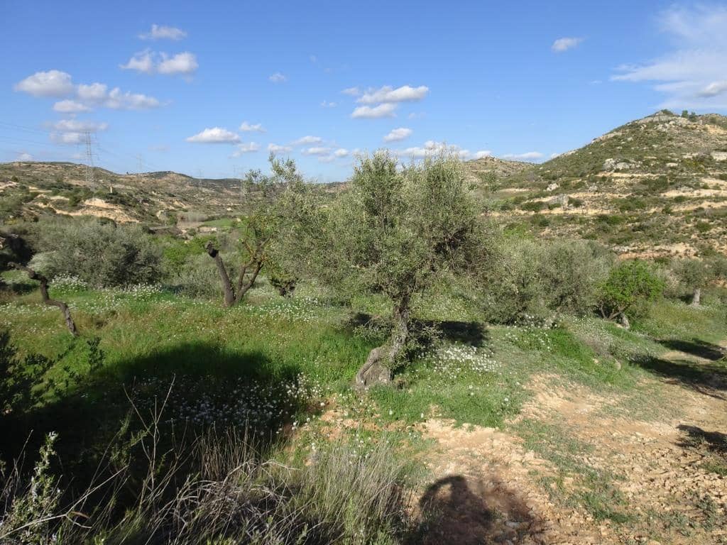 Finca/Herregård til salgs i Vinebre - € 15 000 (Ref: 9953439)