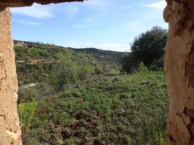 Finca/Herregård til salgs i Vinebre - € 15 000 (Ref: 9953439)