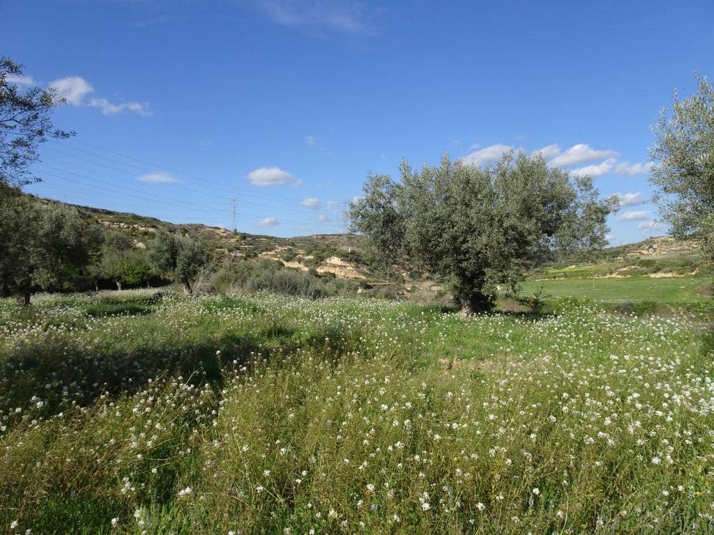 Finca/Herregård til salgs i Vinebre - € 15 000 (Ref: 9953439)